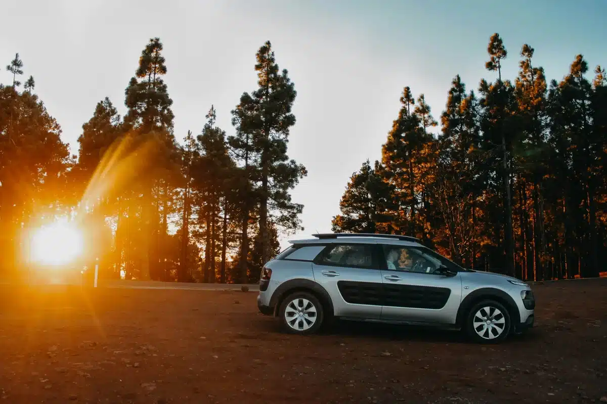 véhicule neuf citroën stationné en pleine nature au crépuscule, lumière du soleil filtrée par les arbres